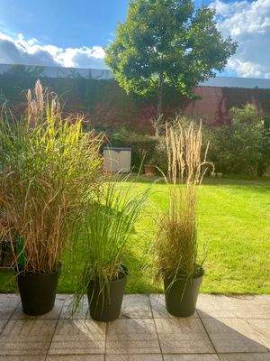 Blick auf den eigenen Gartenanteil