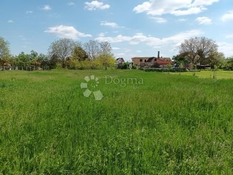 Bilje center Bauernhöfe, Landwirtschaft, Bilje center Forstwirtschaft