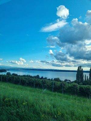 Bodensee