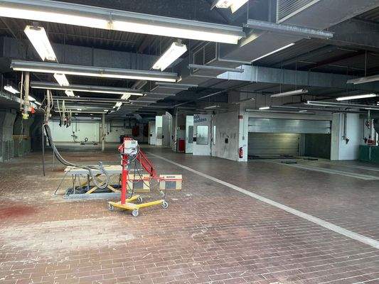 WhatsApp Image 2025-06-19 at 11.54.22