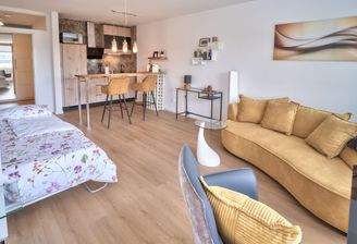 Wohnzimmer mit ausgeklapptem Bett