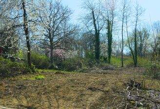 BG in gewachsener Lage