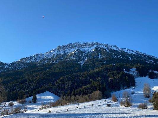 Winterliche Berglandschaft