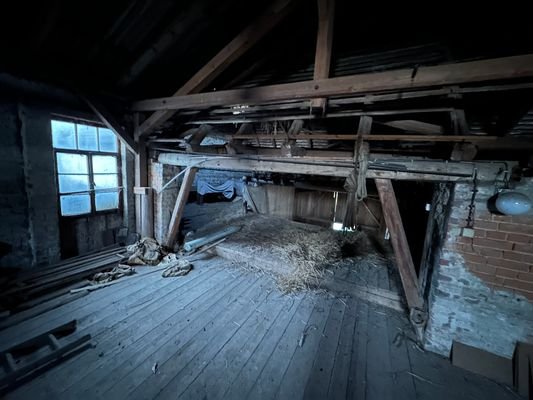 IMG_4479.jpg