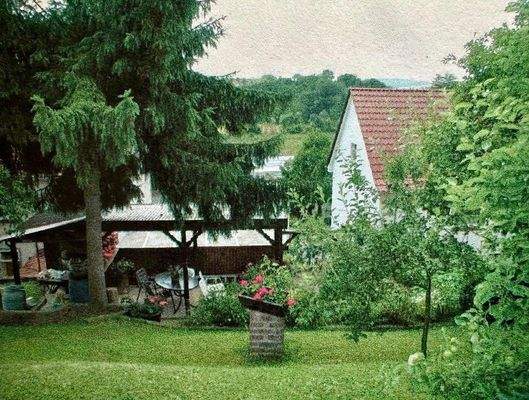 Blick auf Freisitz im Garen