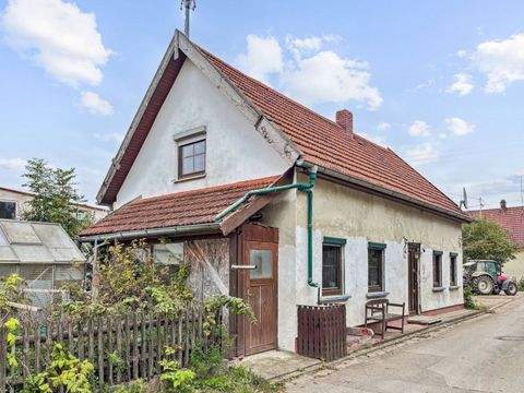 Pleß Häuser, Pleß Haus kaufen