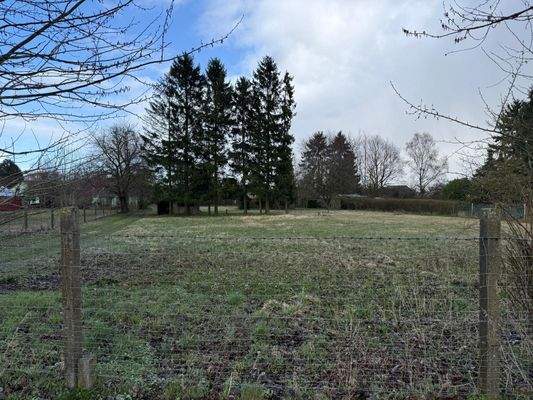 WhatsApp Image 2026-03-31 at 18.15.18 (4).jpeg