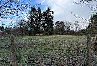 WhatsApp Image 2026-03-31 at 18.15.18 (4).jpeg