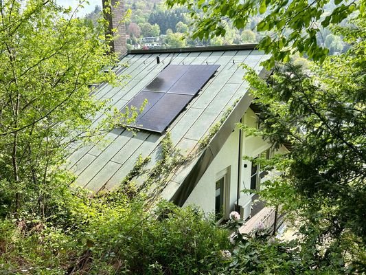 Bild 19