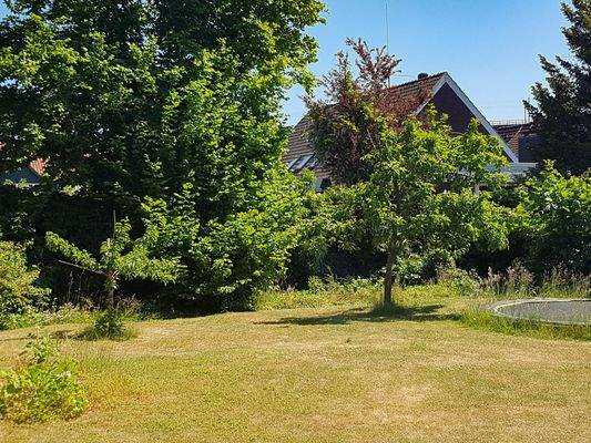 Sommerliche Gartenimpressionen