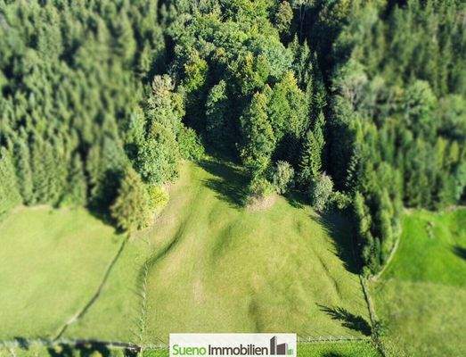 Drohnenfoto Baugrund - Wald