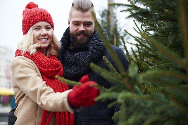 spaar-das-frischen-weihnachtsbaum-kauft .htmBild von gpointstudio auf Freepika