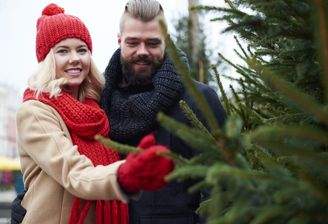 spaar-das-frischen-weihnachtsbaum-kauft .htmBild von gpointstudio auf Freepika