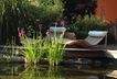 Schwimmteich