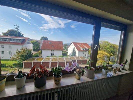 WhatsApp Image 2025-09-21 at 14.43.32.jpeg