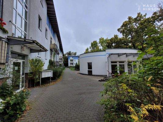 20251007_120408_resized