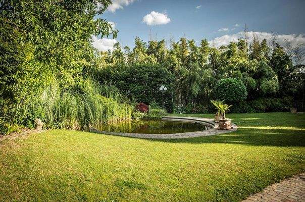 Blick auf den Schwimmteich