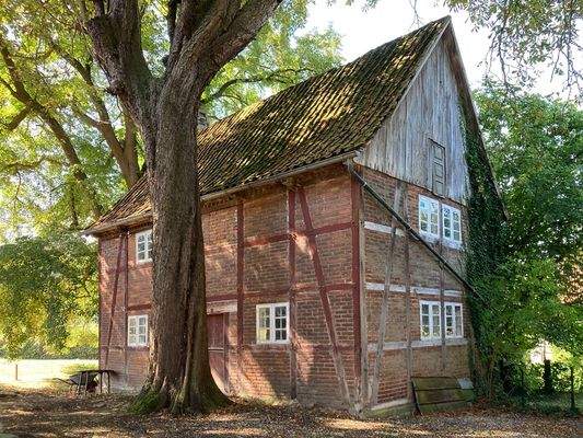 Backs Außenansicht Bild 1.jpg