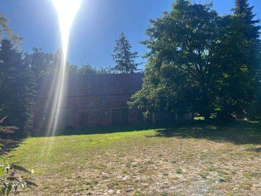 Groß (IMG_7667).jpeg