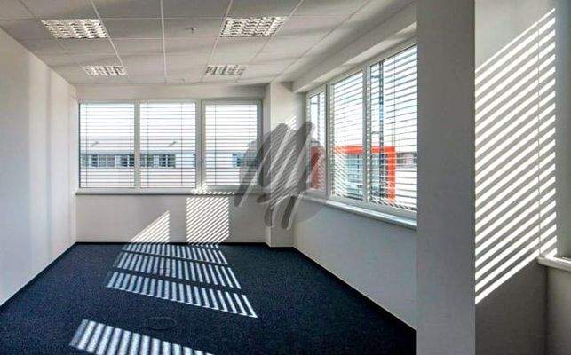 INFOS UNTER: 06171-586000