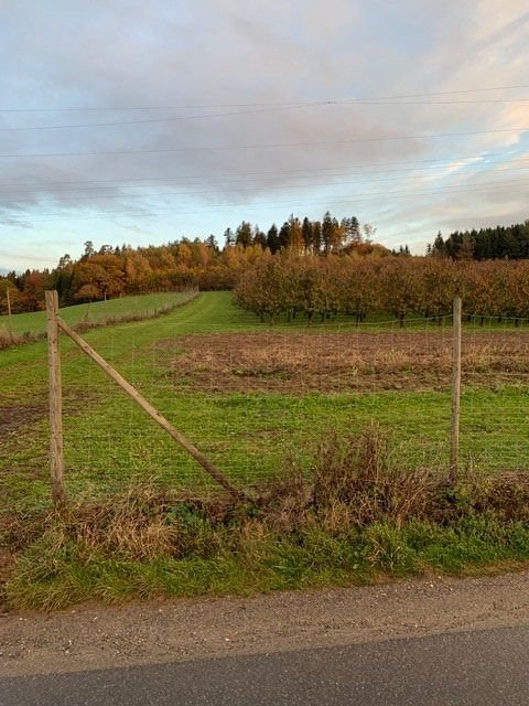 Grünkraut Grundstücke, Grünkraut Grundstück kaufen