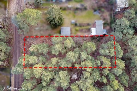 Borkheide Grundstücke, Borkheide Grundstück kaufen