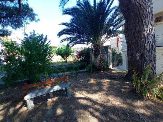 Kreta, Neapoli: Großes Steinhaus mit unvollendetem Gästehaus, Olivenhain und Garten zu verkaufen