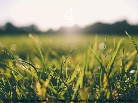 Aldein Häuser, Aldein Haus kaufen