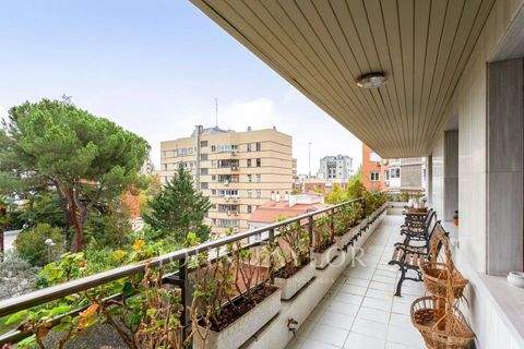 Madrid Wohnungen, Madrid Wohnung mieten