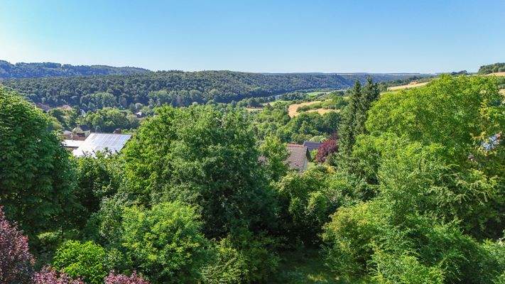 Aussicht vom Balkon mit Blick auf den Main