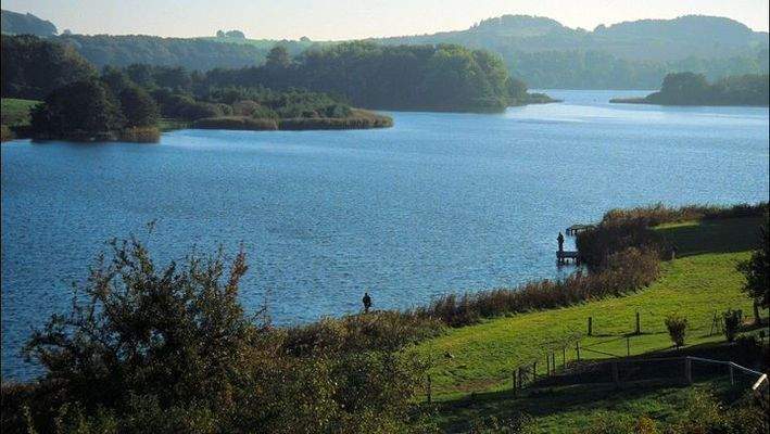Blick auf den See.jpg