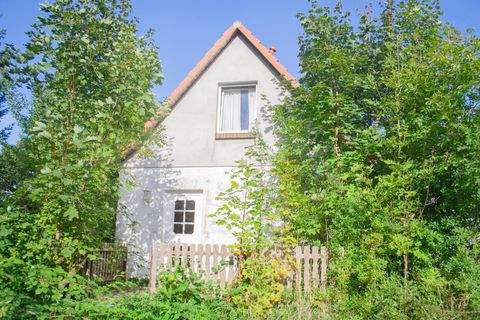 Ralswiek Häuser, Ralswiek Haus kaufen