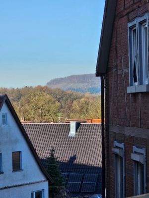 ame17-615-Blick vom Essbereich.jpg