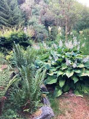 Garten1.jpg