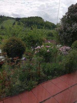 Terrassenrand mit Garten