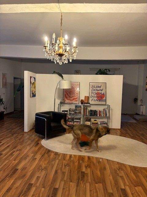 Düsseldorf Wohnungen, Düsseldorf Wohnung mieten