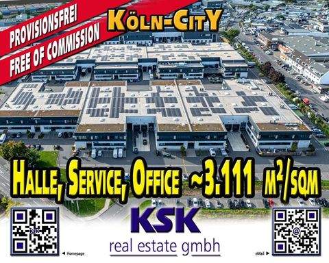 Köln Halle, Köln Hallenfläche