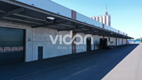 Kerpen Halle, Kerpen Hallenfläche