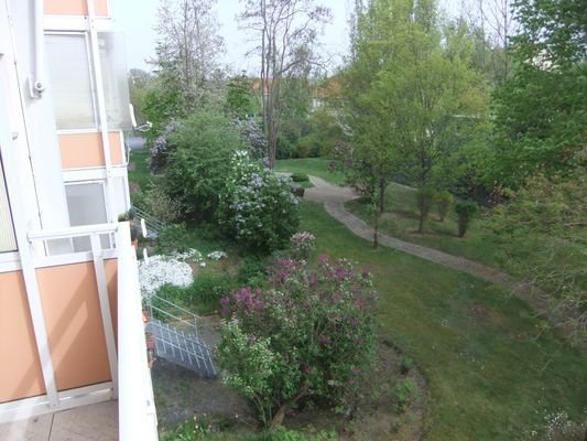 Blick vom Balkon