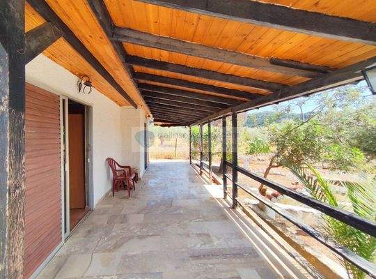 img_83d55e35-a7b8-4936-9155-2d0d625c4809