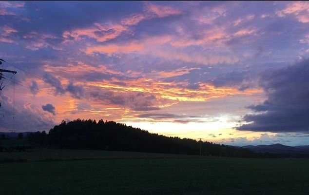 Fernblick.jpg