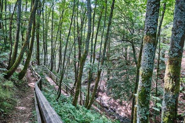 28_Standort Winterberg (10).jpg