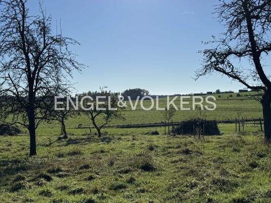 ... oder die Blumenwiese?