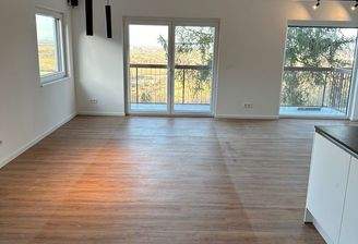 Küche- / und Wohnbereich