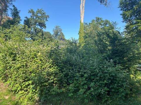 Schönwalde-Glien Grundstücke, Schönwalde-Glien Grundstück kaufen