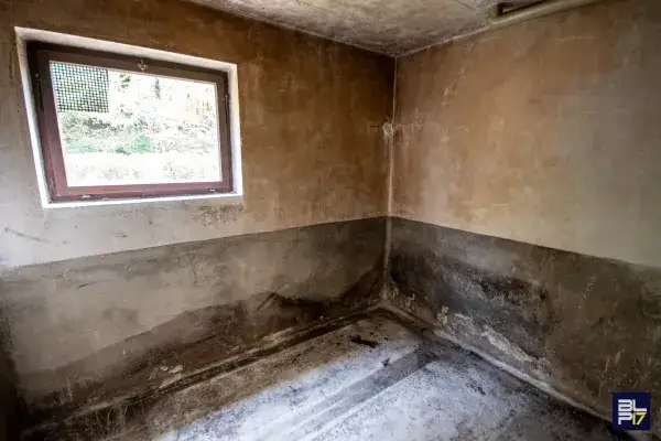 Haus Wiesfleck 28.png