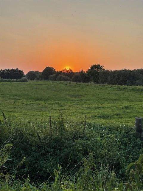 Stemwede Bauernhöfe, Landwirtschaft, Stemwede Forstwirtschaft