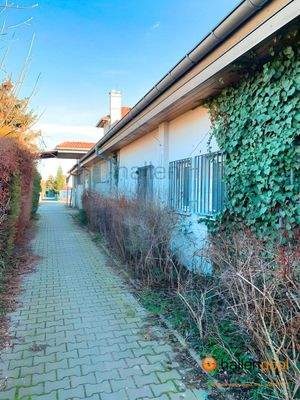 737b5478-c211-45ca-85ba-8f189693e25e-fotor-2024022283743