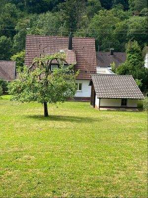 Blick vom Garten auf das Haus