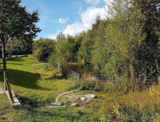 Außenanlage mit Teich